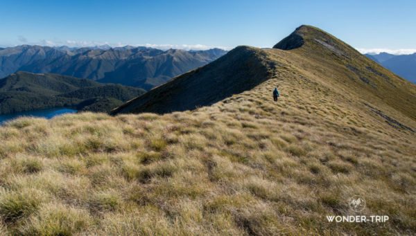 Mount-Burns-Tarns-Track-21