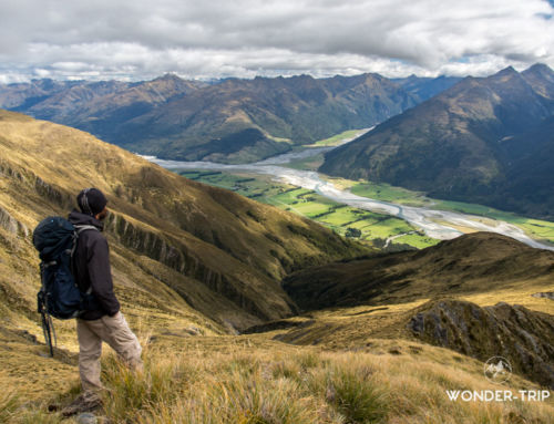 Mont Shrimpton – Randonnée du Haast pass en Nouvelle-Zélande