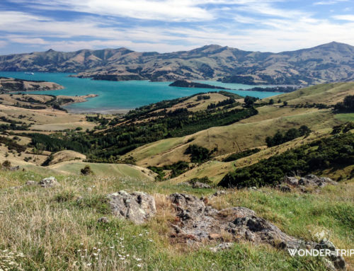 Akaroa un petit air de village français sur la péninsule de Banks