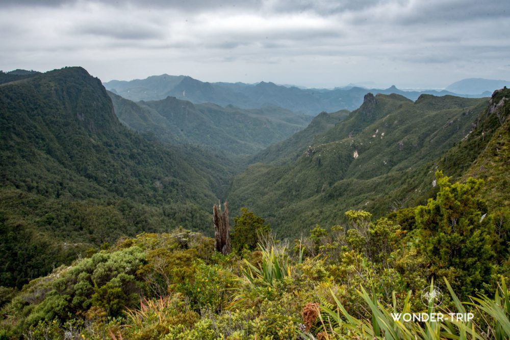 The-pinnacles-coromandel-03