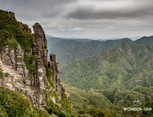 The Pinnacles : randonnée vertigineuse du Coromandel Forest park