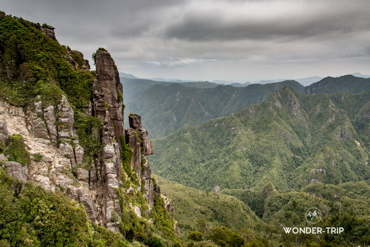 Coromandel - The pinnacles