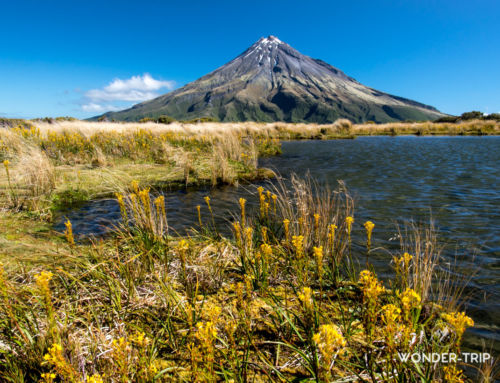 Pouakai Circuit : trek autour du mont Taranaki dans le parc national Egmont