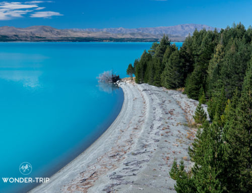 Lac Pukaki : randonnées et lieux d’intérêt autour du lac et Twizel