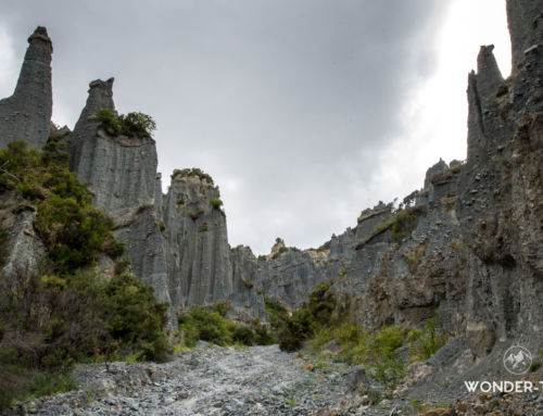 Putangirua pinnacles : randonnée dans les paysages du seigneur des anneaux