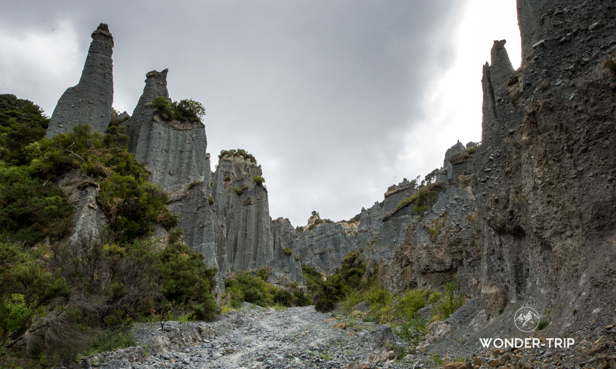 Paysage sur la randonnées des Putangirua pinnacles