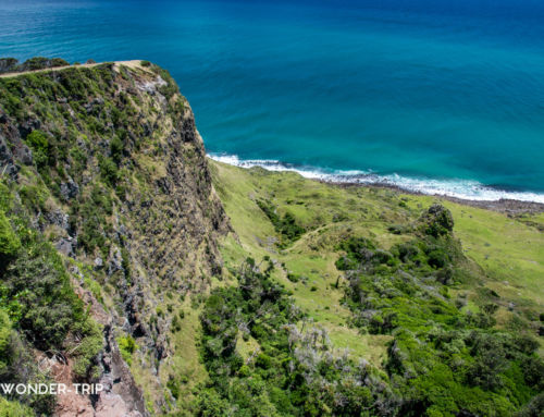 Raglan : Itinéraire d’un road-trip sur la côte ouest du Waikato