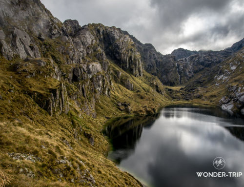 Routeburn track : Le meilleur du trek à la journée avec Key summit et Harris saddle