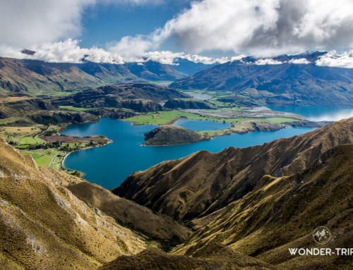 Roys Peak : randonnée la plus populaire de Wanaka