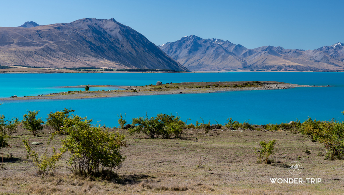 Lac Tekapo - Randonnée de Peninsula Walkway