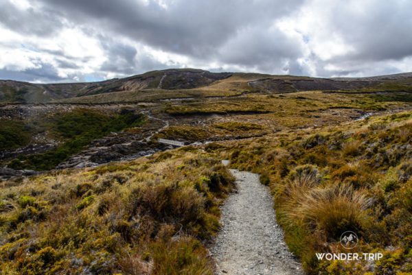 Tongariro-northern-circuit-02