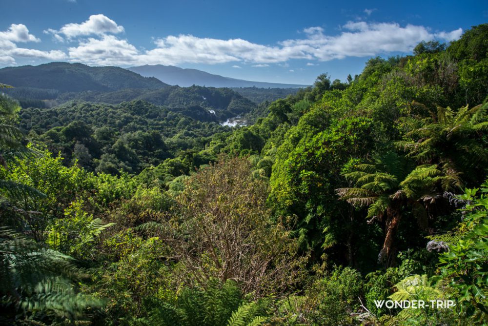 Waimangu-valley-01