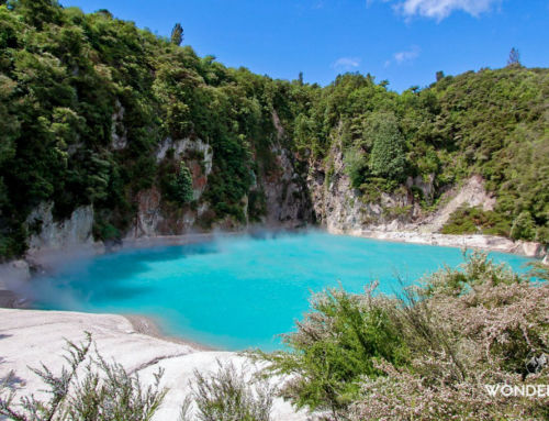 Waimangu volcanic valley : plus jeune complexe géothermal du monde