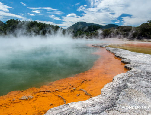 Wai-O-Tapu : Notre avis sur le parc – Champagne pool et Lady Knox geyser