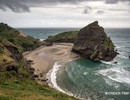 Waitakere Ranges – Guide des randonnées et plages de la côte ouest d’Auckland