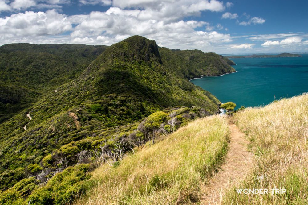 Waitakere Ranges - Guide des randonnées et plages : Piha beach...