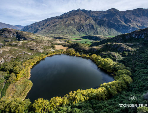 Lac Wanaka, Haast pass et parc national du mont Aspiring : Guide des randonnées