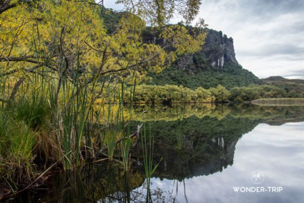 Hospital-flat-conservation-area-07