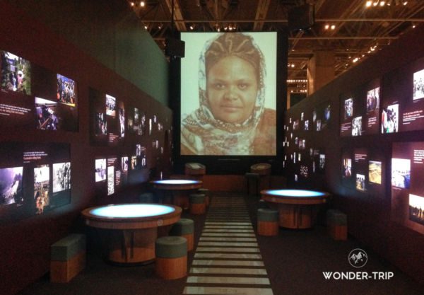 Exposition-Musee-Te-Papa