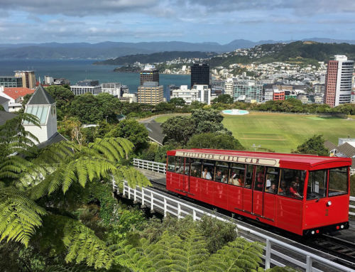 Que faire à Wellington – Capitale de la Nouvelle-Zélande