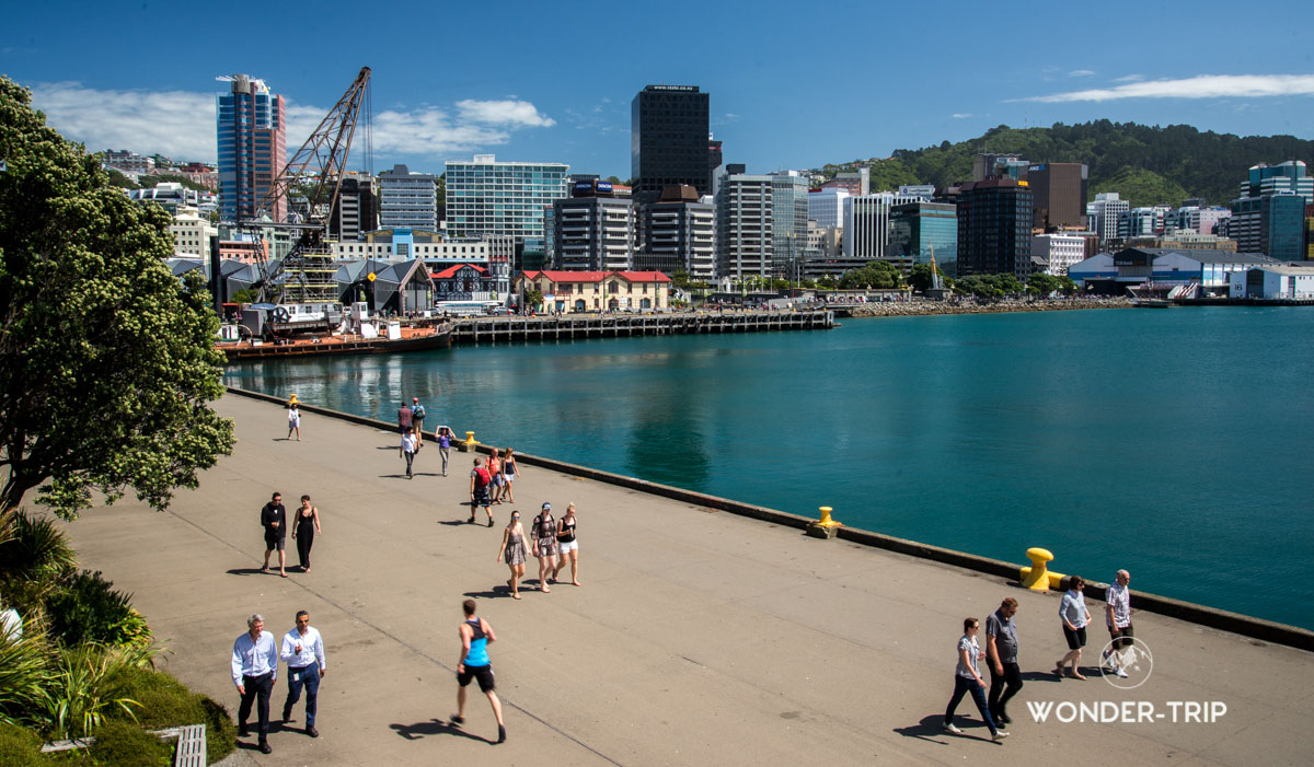 Port de Wellington