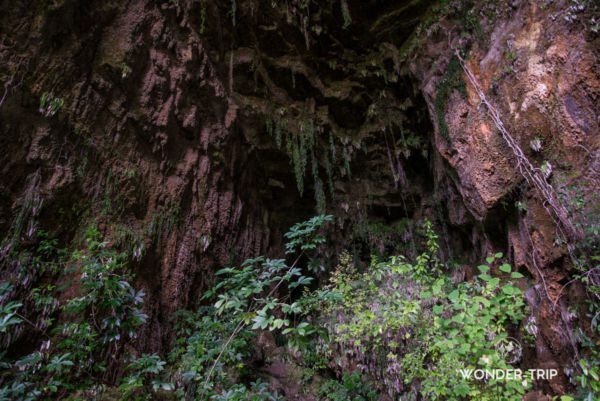 West-coast-Fox-cave-04