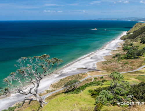 Whangarei : Guide pour visiter la région et la côte de Tutukaka – Matapouri