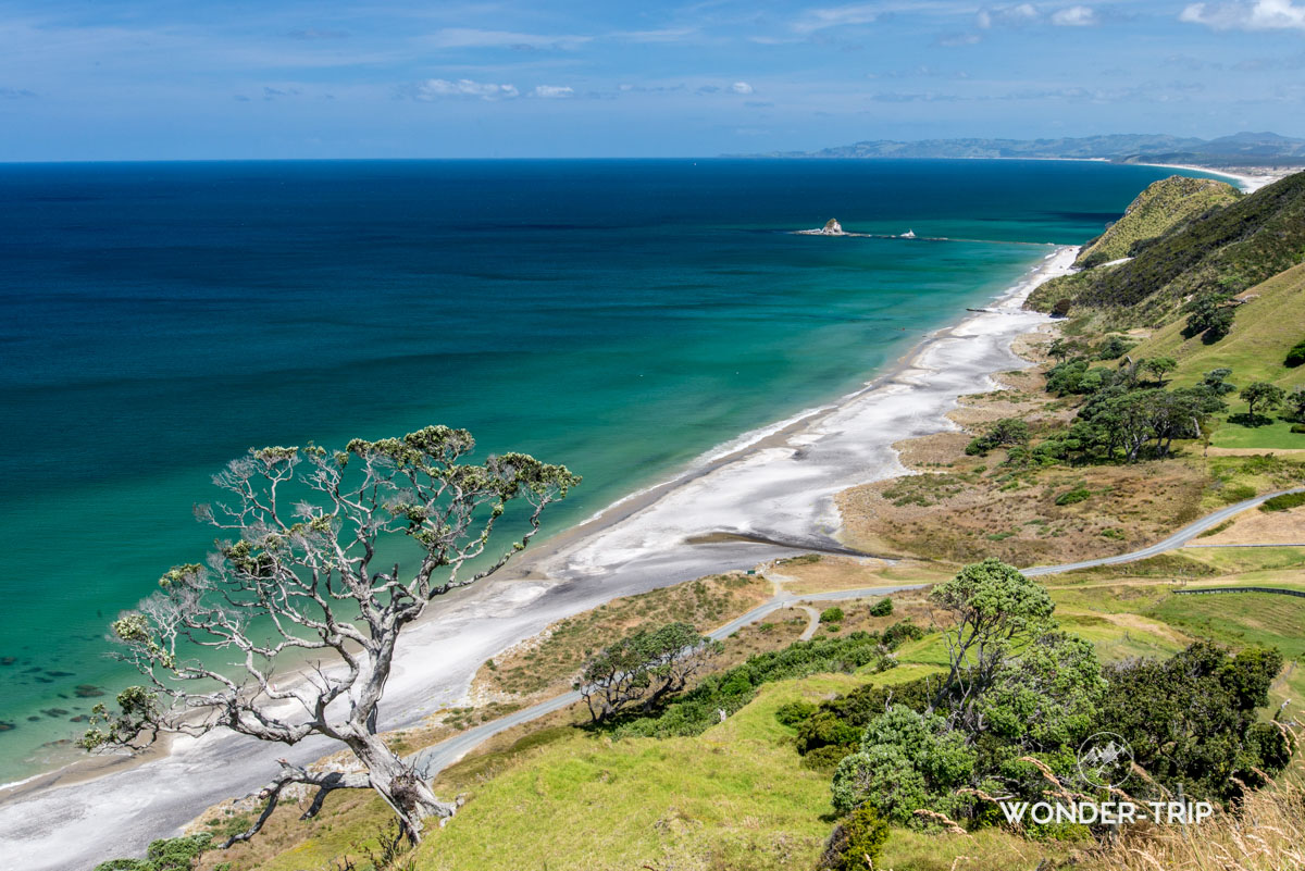 Randonnée sur la côte de Mangawhai heads