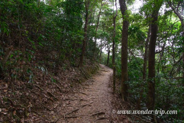 Hong-kong-Dragon's-back-trail-02