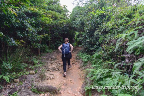 Hong-kong-Dragon's-back-trail-04