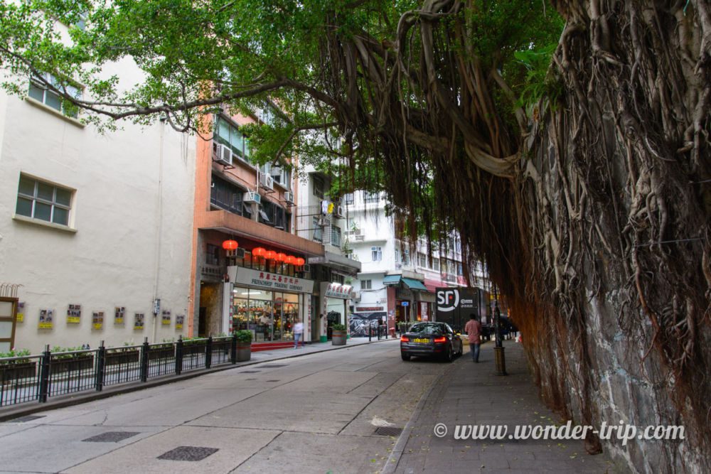 Hong-Kong-Centre-Ville-03