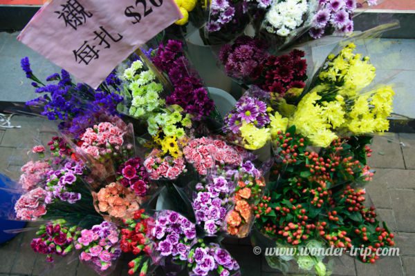 Flower-Market-Hong-kong-03