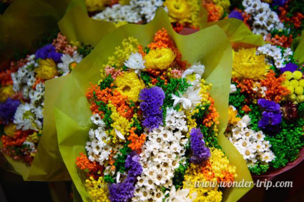 Flower-Market-Hong-kong-06