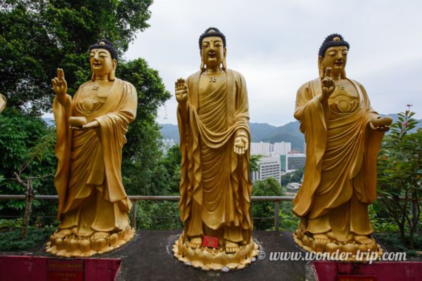 Monastere-10000-Bouddhas-Hong-kong-19
