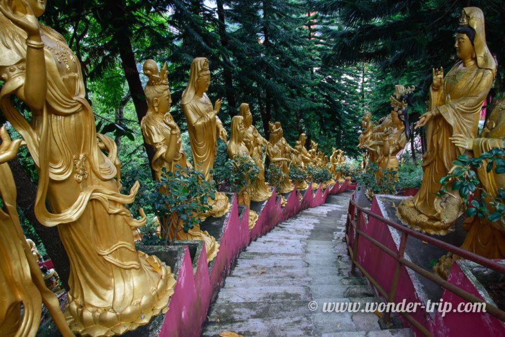 Monastere-10000-Bouddhas-Hong-kong-27