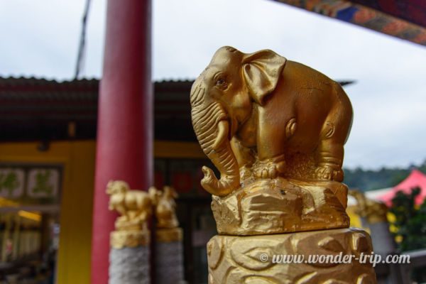 Monastere-10000-Bouddhas-Hong-kong-29