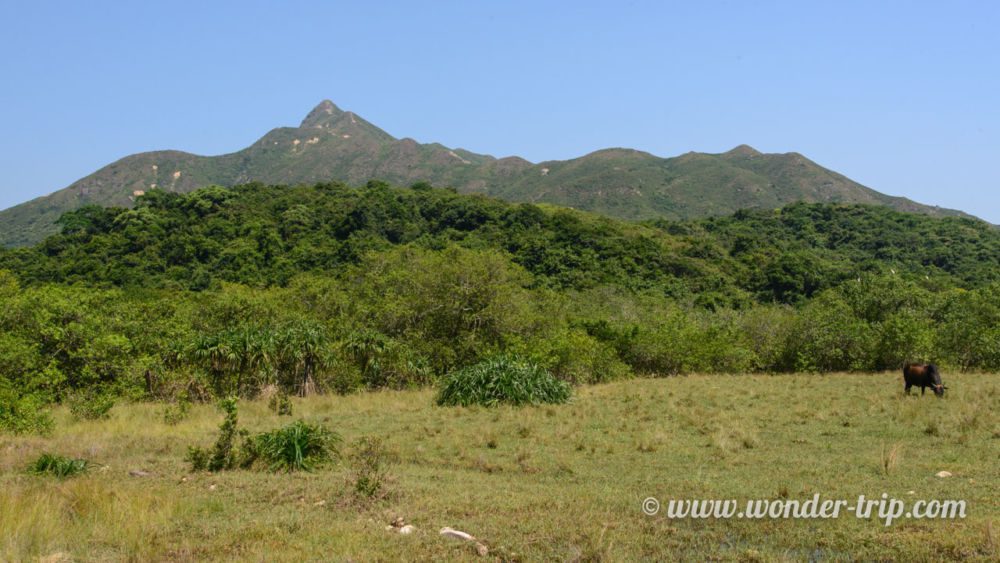 Peninsule-Sai-Kung-Hong-Kong-04