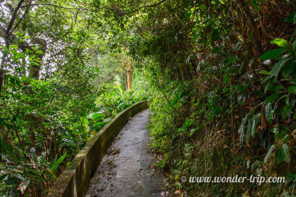 Acces-Pied-Pic-Victoria-04