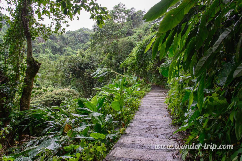 Acces-Pied-Pic-Victoria-05