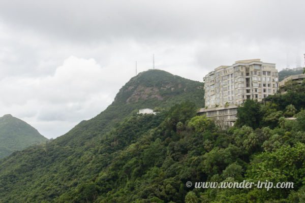 Pic-Victoria-Morning-Trail-01