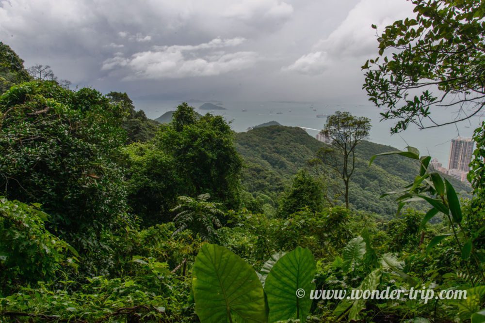 Pic-Victoria-Morning-Trail-05