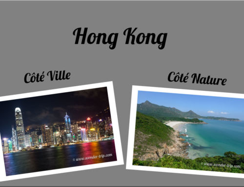 Quoi visiter à Hong-kong : côté ville ou côté nature ?